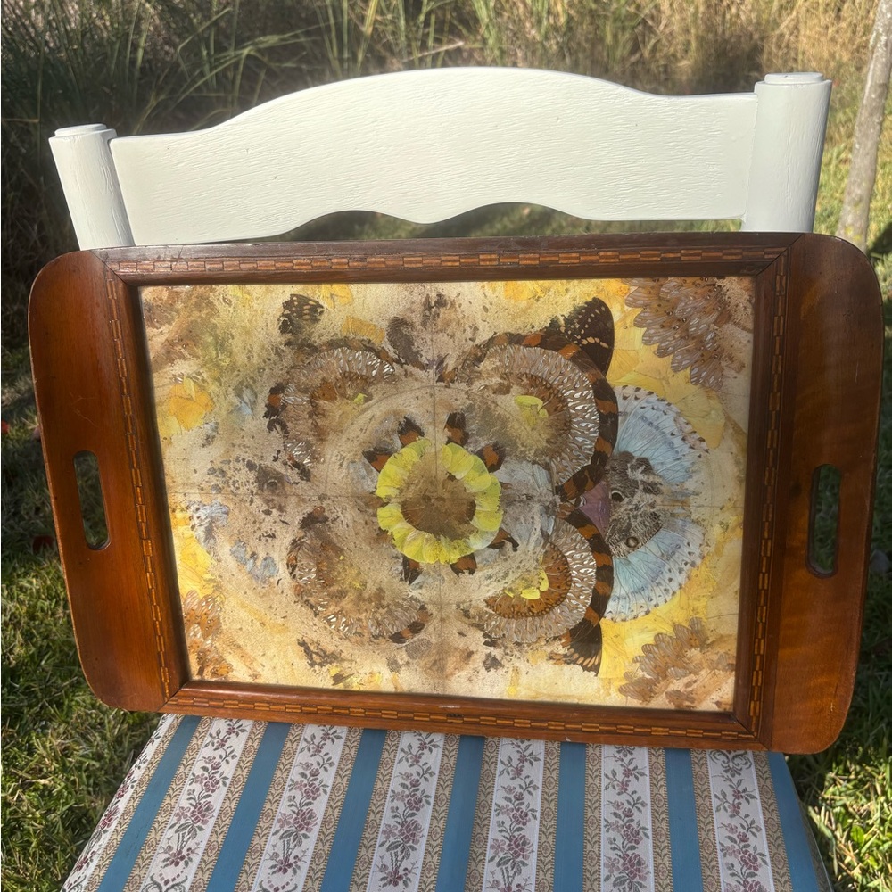 Butterfly Wing Tray Galeria Brasil H.C. Machado Vintage